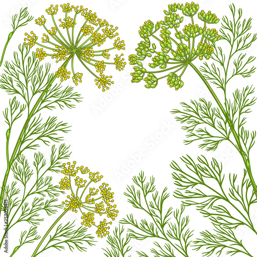 dill vector frame
