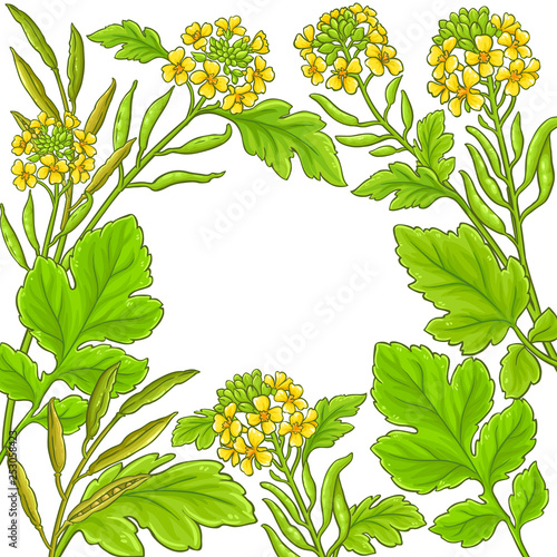 mustard vector frame