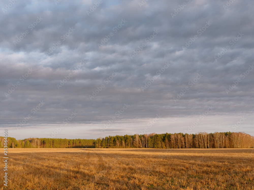 the beginning of spring. clouds are floating over the field. the beginning of spring. clouds are floating over the field.
