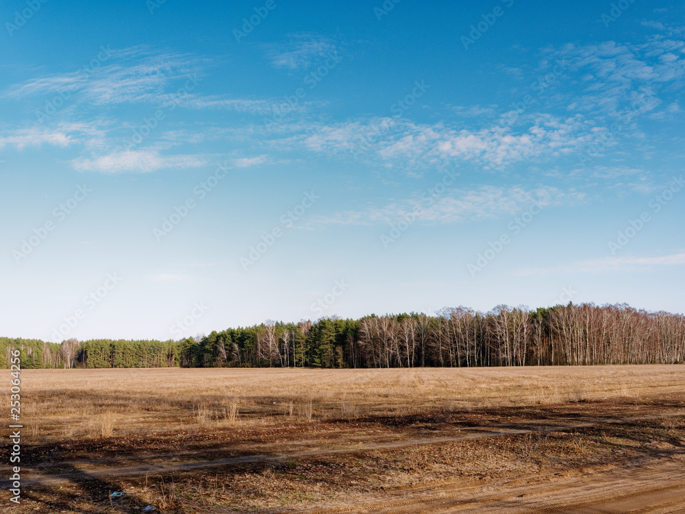 the beginning of spring. clouds are floating over the field. the beginning of spring. clouds are floating over the field.