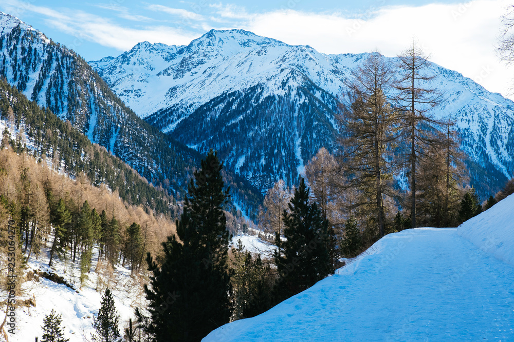 Matschertal in the italian alps / Mals/ South Tirol/ Italy/ Europe