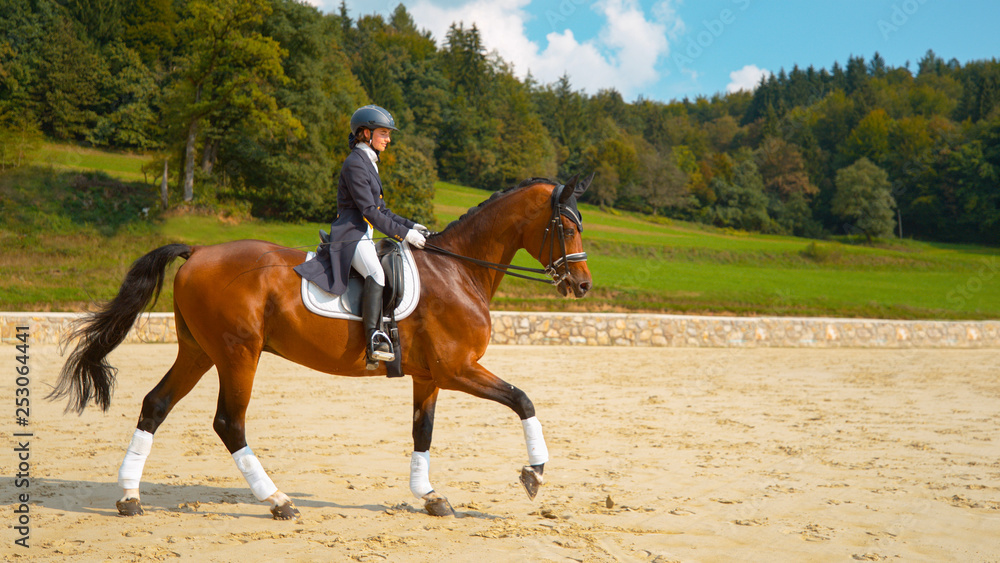 English dressage horseback rider galloping on her muscular brown stallion. English dressage horseback rider galloping on her muscular brown stallion.