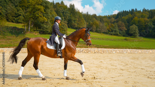 English dressage horseback rider galloping on her muscular brown stallion. © helivideo