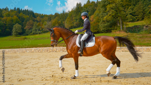 Obraz na plátně Young female English rider trotting on horseback around the manege on sunny day