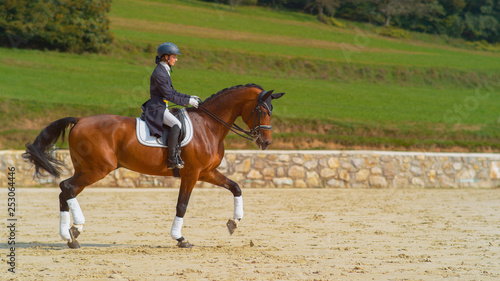 Bild auf Leinwand English rider on horseback riding trot around the sandy arena in the countryside