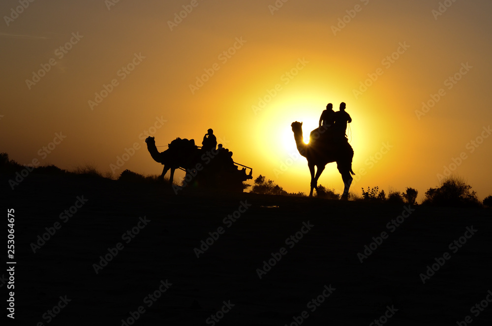Fototapeta premium Silhouette of solo camel carrying tourists in Sam Sand Dunes, Thar Desert, Jaisalmer, India. Sam sand dunes are among the most famous ones in Rajasthan. Camels are also popular in Sahara desert, Egypt