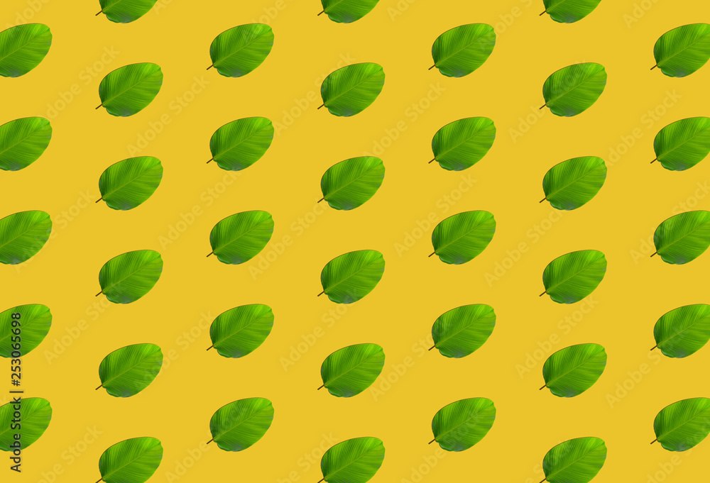 pattern of green leaves over yellow background pattern of green leaves over yellow background