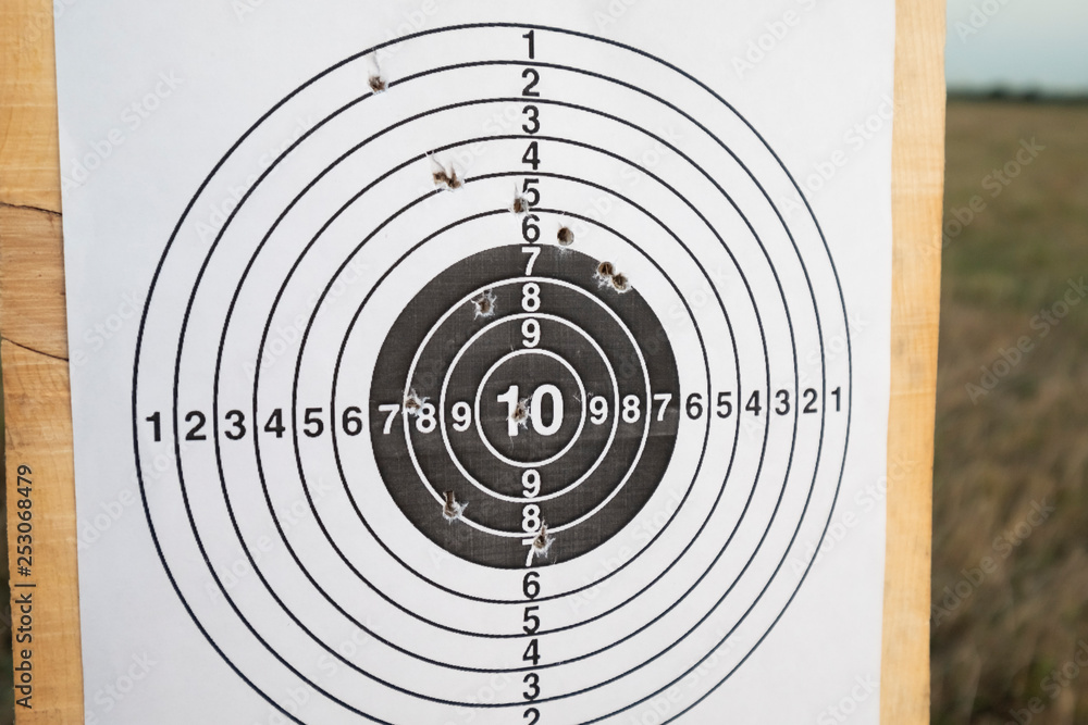 target for shooting outdoors target for shooting outdoors
