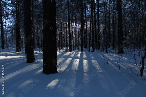 Sunny winter © Венера Латфуллина