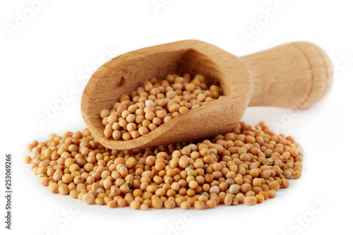 Organic yellow mustard seeds in wooden scoop isolated on white background