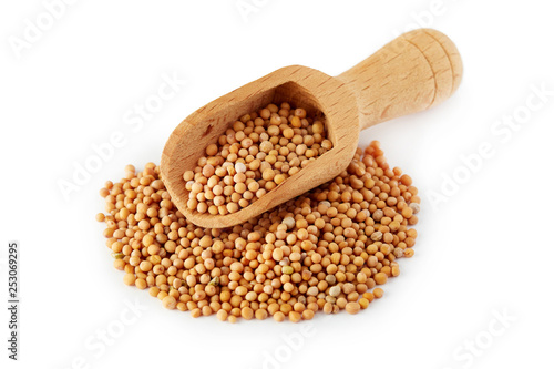 Organic yellow mustard seeds in wooden scoop isolated on white background