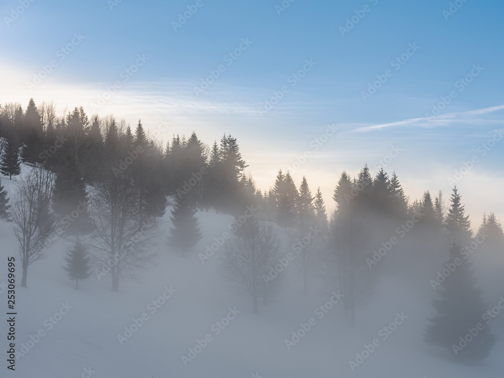 Foggy winter day in the mountains 