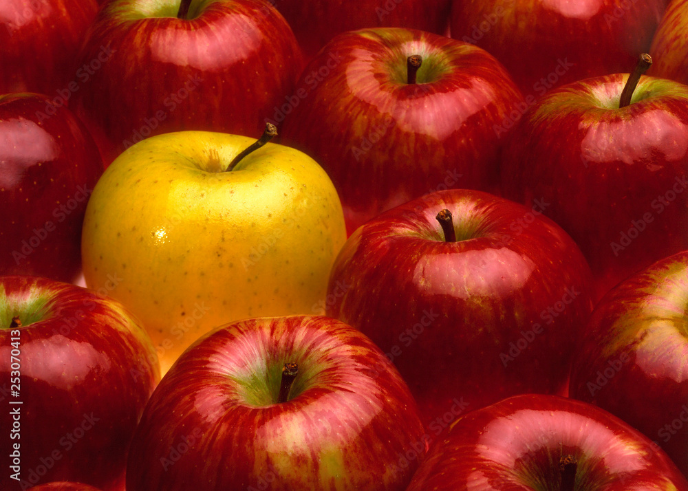 some red apples and one yellow forming a texture, concept of singularity some red apples and one yellow forming a texture, concept of singularity