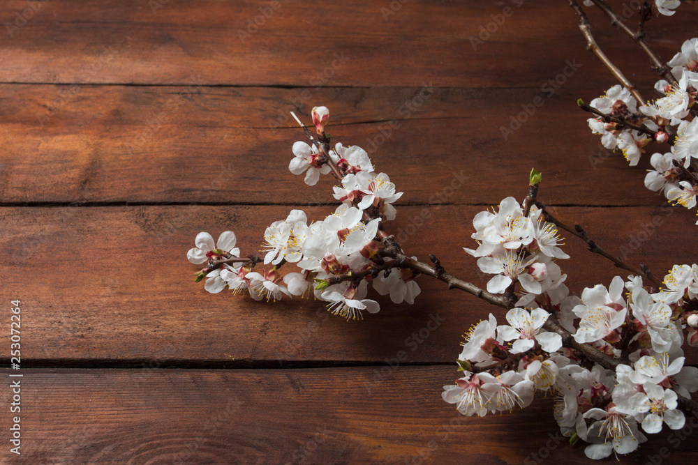 Sakura branches with flowers on a dark wooden background Sakura branches with flowers on a dark wooden background