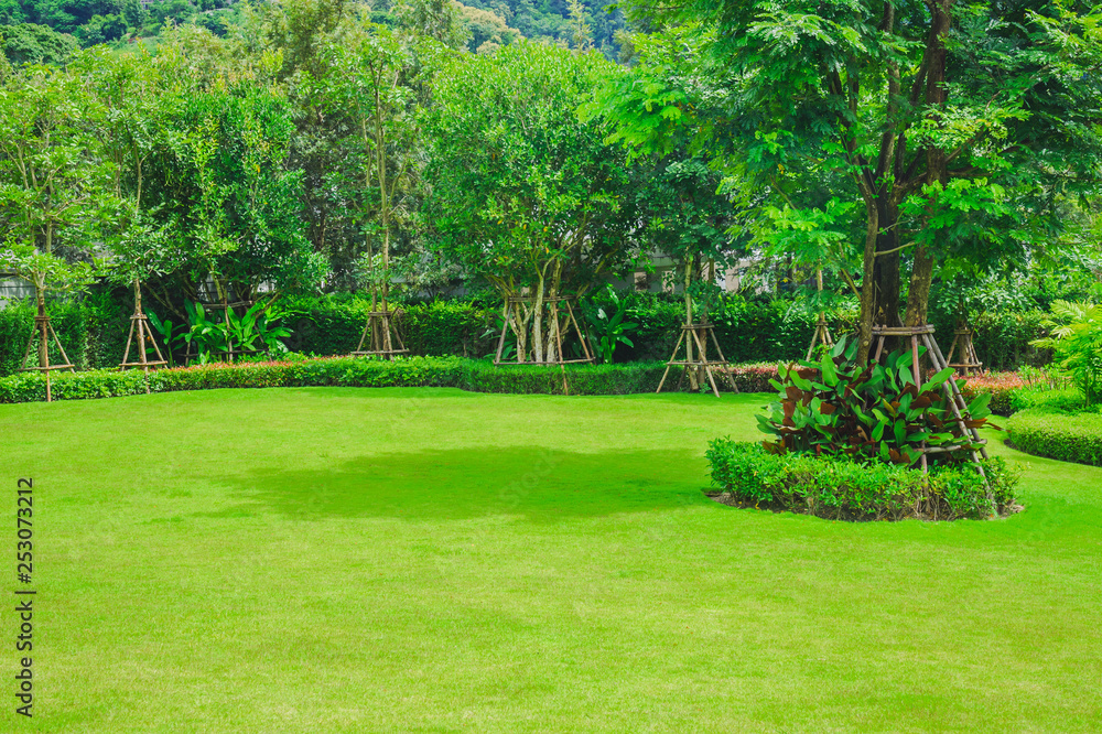 Obraz premium Grass with garden design, landscape design, Golf course in the park.