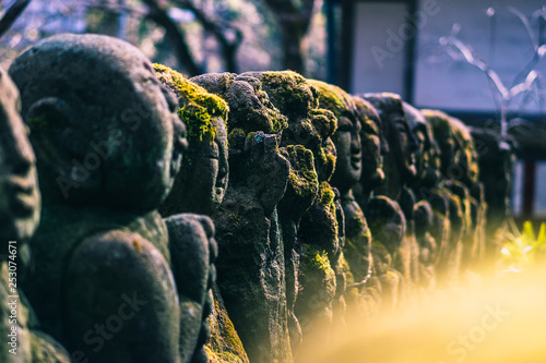 Japon, tourisme, voyage, ville, Tokyo, Kyoto