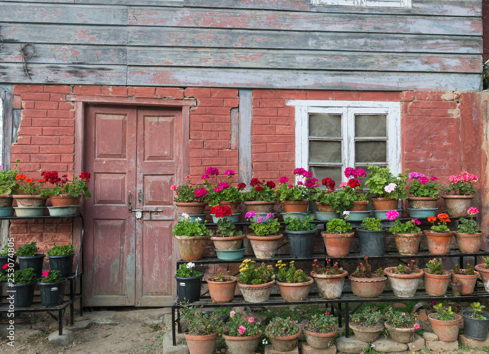 Obraz premium Potted plants and flowers growing outside a rural brick and wood cabin with a door