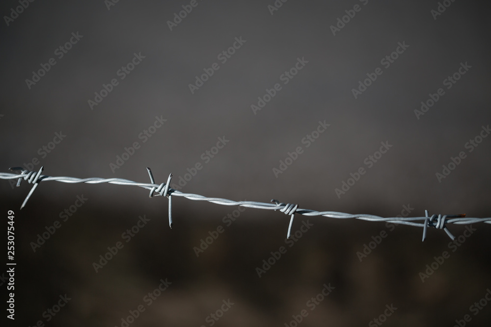 Close up of sharp barbed metal wire. Close up of sharp barbed metal wire.