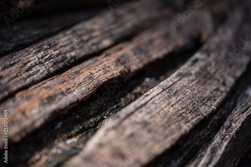 Texture of cut wood. © rasevicdusan
