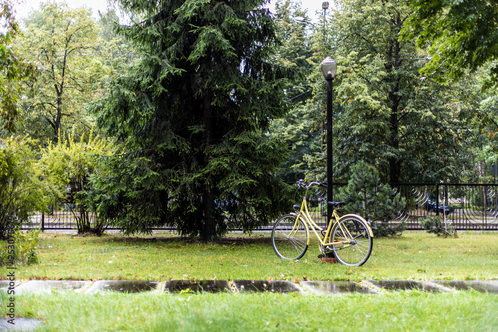 Fototapeta premium Bicycle chained to a lamp post