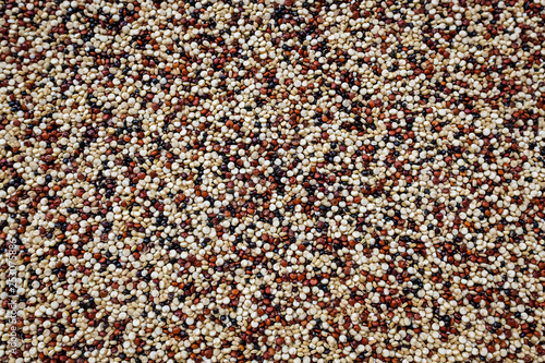 Raw tri-color quinoa background texture