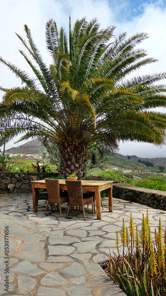 Wooden table and chairs beneath a mature tropical palm tree overlooking rustic nature and fincas. Picnic or eating area with a view in a high up village mountains of El Hierro, Canary Islands, Spain.