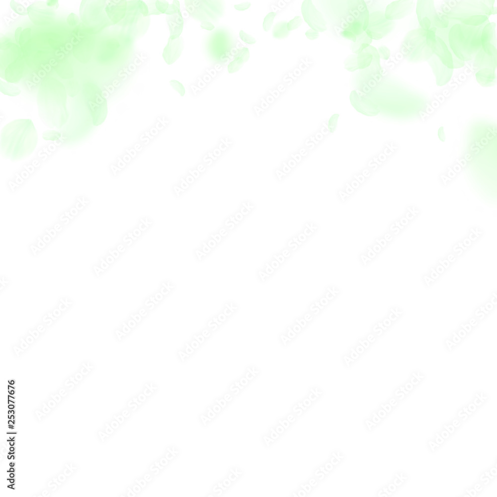 Green flower petals falling down. Unique romantic Green flower petals falling down. Unique romantic