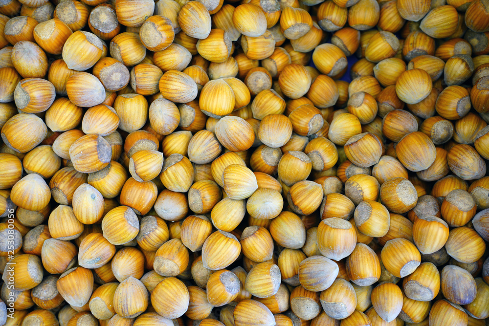 Dried hazelnuts in the shell at a farmers market Dried hazelnuts in the shell at a farmers market