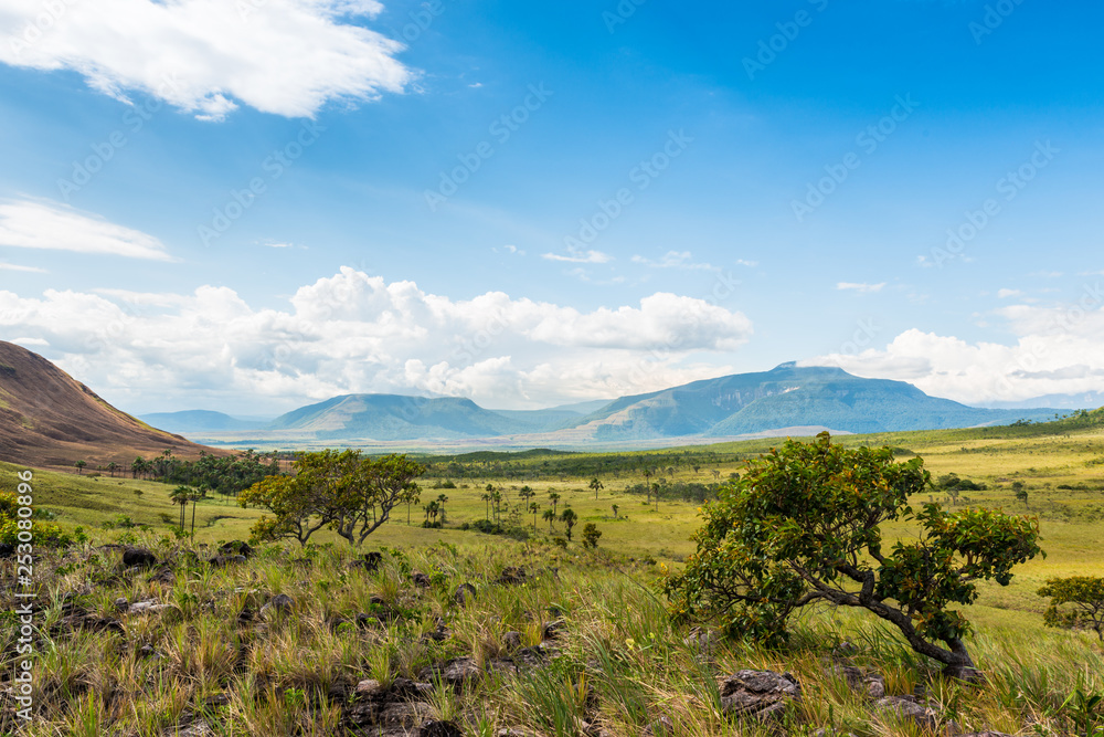 Hills and plains in Purpuken at La Gran Sabana, Venezuela