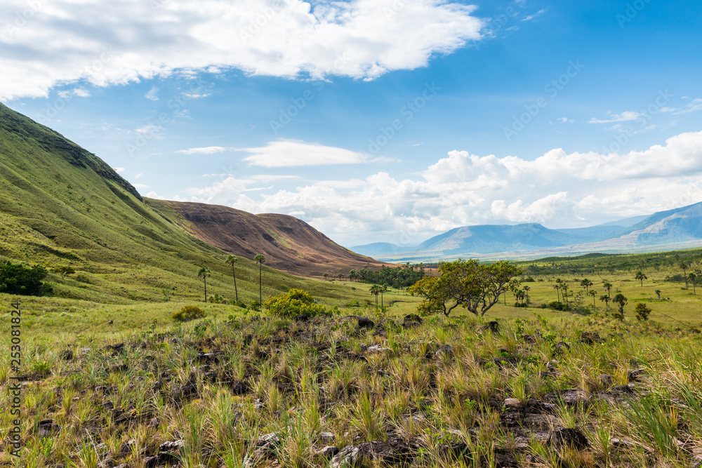 Fototapeta premium Hills and plains in Purpuken at La Gran Sabana, Venezuela