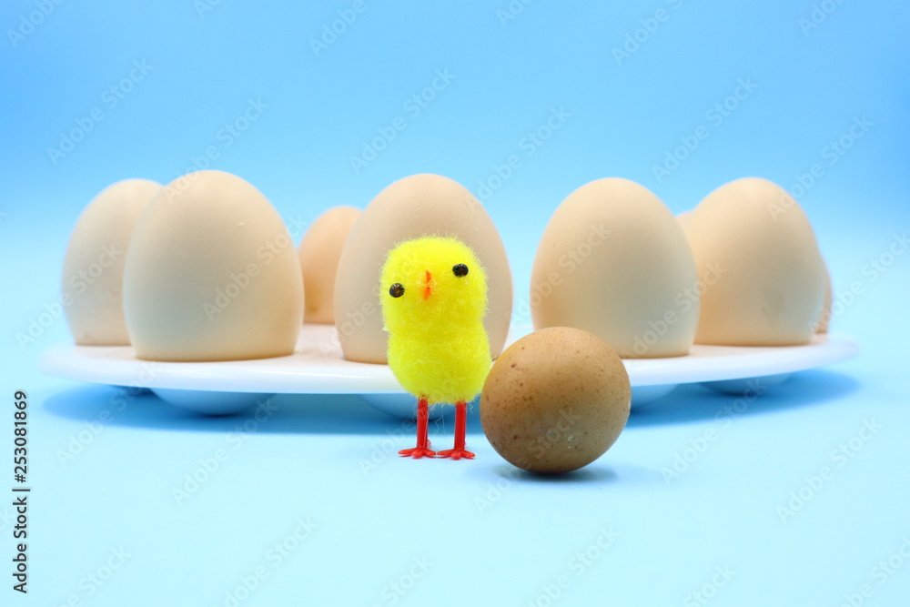 Funny Easter Composition Funny Easter Composition