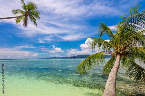 Fototapeta Naklejka Na Ścianę i Meble -  Tropical Beach background - calm sea surf, palm trees and blue sky