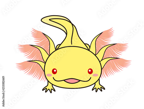                            Axolotl                                 