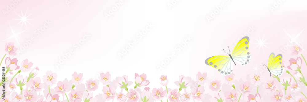 Blooming Cherry blossoms background with Two Butterflies - Header ratio
