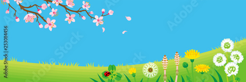 Cherry blossom branch and Wildflowers in the Spring grassland -Header ratio