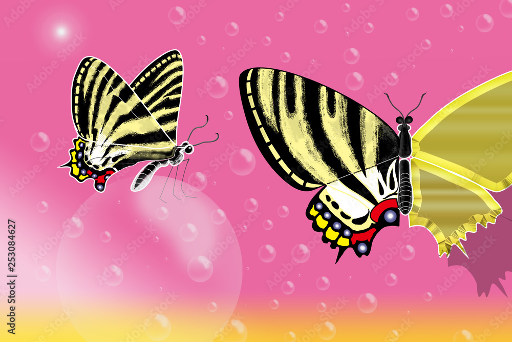 春になると羽化する 春の女神 と呼ばれている 珍しい蝶を描きました Stock イラスト Adobe Stock