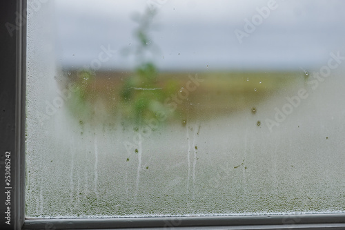 Tropfen am Fenster