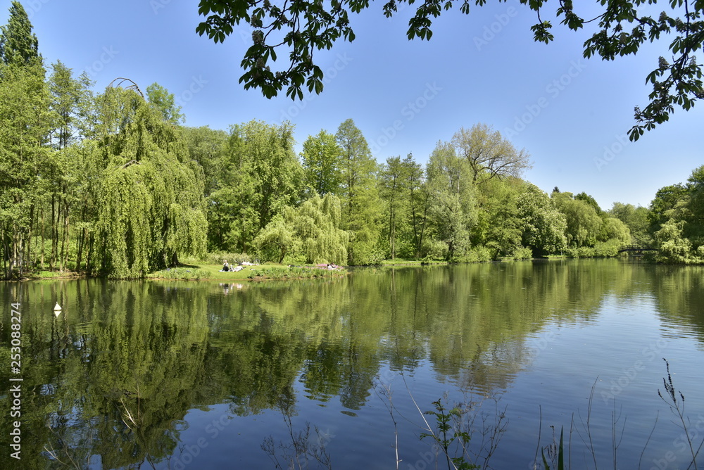 L'un des grands étangs et son reflet entouré d'une végétation luxuriante dans le bois du domaine provincial du Rivierenhof à Anvers
