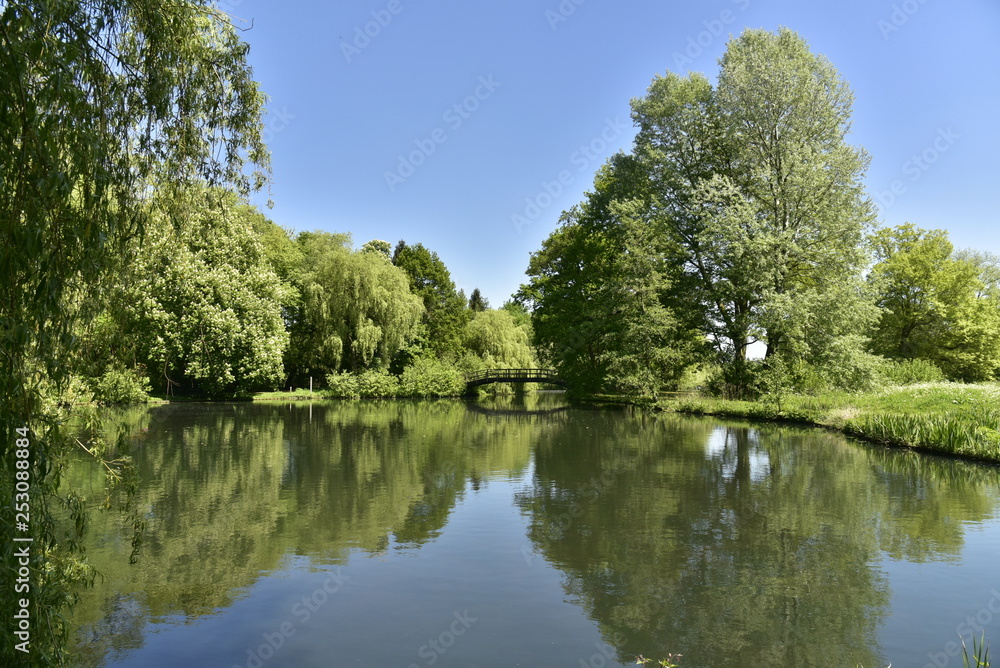 Passerelle traversant un chenal étroit entre deux étangs en plein coeur de la végétation dense et luxuriante du domaine provincial du Rivierenhof à Anvers