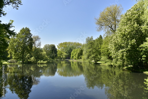L un des grands   tangs et son reflet entour   d une v  g  tation luxuriante dans le bois du domaine provincial du Rivierenhof    Anvers