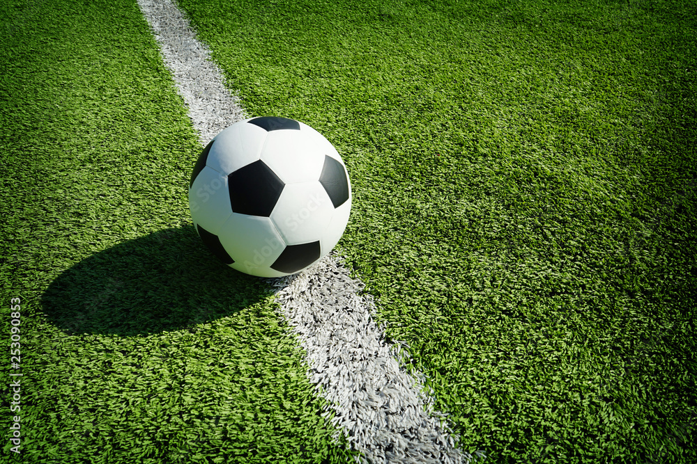 soccer field with a ball soccer field with a ball