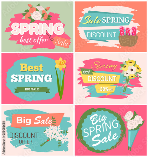 Spring sale  discount and best offer  label with rose  lilac and violet  daisy bouquet. Advertisement decorated by flowers  greeting for ladies vector. Early spring and summer flower for wedding