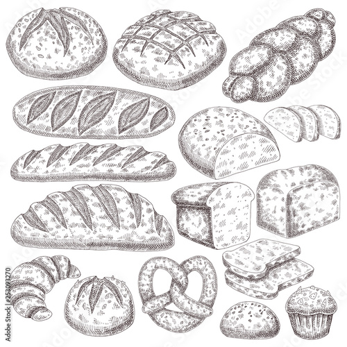 bakery product isolated on white background. Hand drawn bread food illustration. Sketch vintage objects for label, icon, packaging.