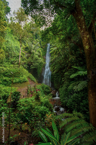 Fototapeta Naklejka Na Ścianę i Meble -  Waterfall in Malang East Java indonesia
