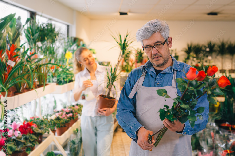 middle aged florist trimming roses. woman worker in blurred background