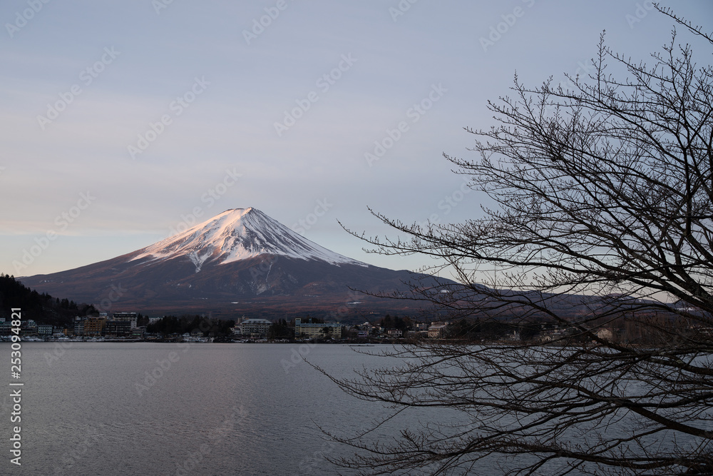 Fuji monutain in late winter with dry branch