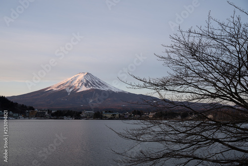 Fuji monutain in late winter with dry branch © Voradech Triniti