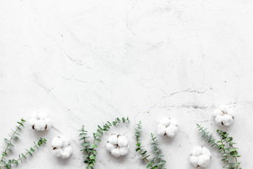 Flowers border with green eucalyptus and dry cotton on white stone background top view space for text. Blog mockup