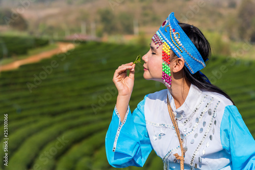 Farmer picking tea leave in the terraced tea fields. two woman collecting some green tea leaf.Tea is traditional drink in some country at asia as japan, Thailand, vietnam, china, korea, Sri Lanka.