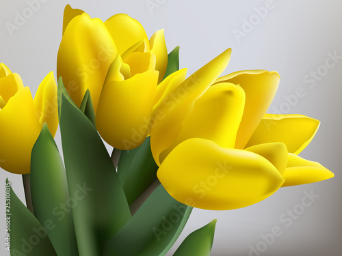 Yellow tulips spring card Vector. Beautiful natural bouquets